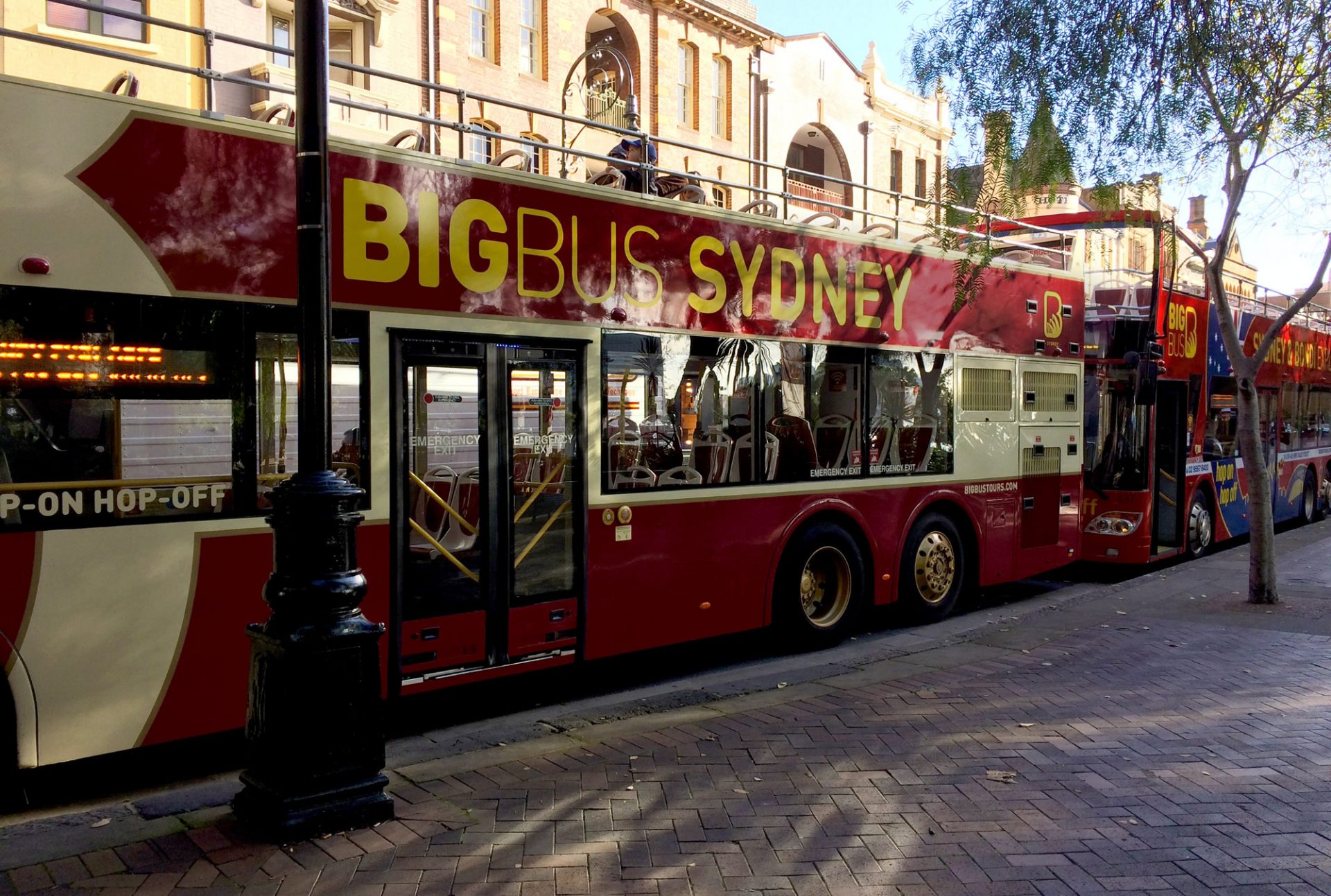  Sydney  Big Bus  Hop On Hop Off Sightseeing Tours  Open 
