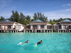 【Maldives】Taj Coral Reef Resort and spa 5 Nights Package – PREMIUM INDULGENCE WATER