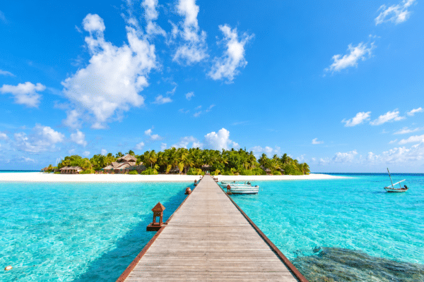 Celebrity Millennium cruise holiday – bright daylight cover