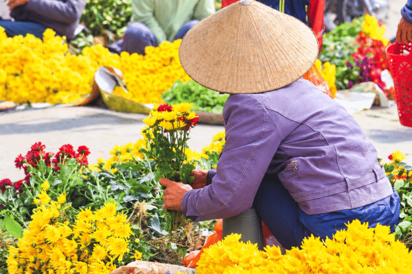 Mekong Navigator cruise holiday – bright daylight cover