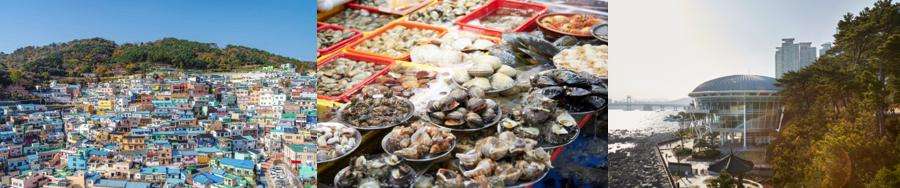Gamcheon Cultural Village, Jagalchi Market and Dongbaek Park in Busan